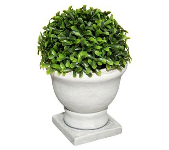 Plante Artificielle En Pot "buis" 19cm Blanc et Vert