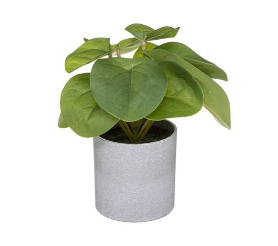 Plante Verte Artificielle En Pot H 18 Cm