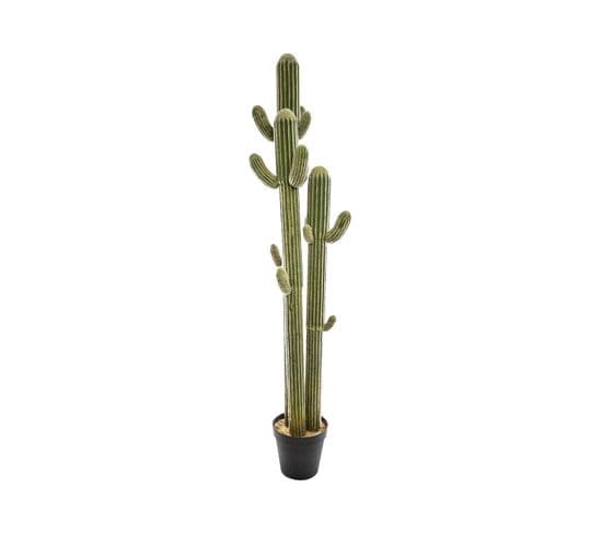 Plante Artificielle  Cactus 3 Troncs Dans Son Pot  H 203 Cm