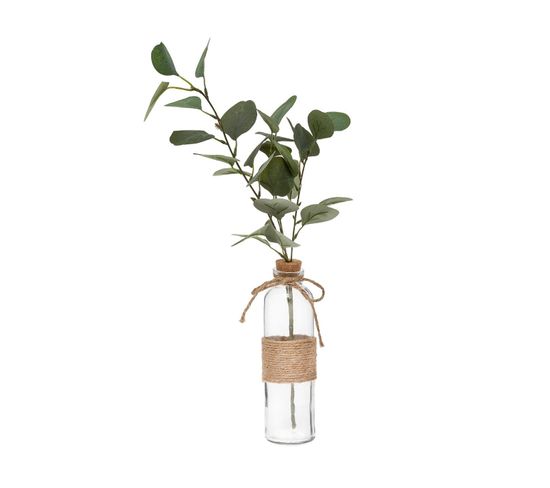 Composition Artificielle Branche D'eucalyptus Vase En Verre H 48 Cm