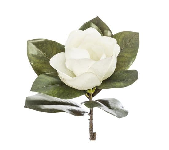 Tige Artificielle Magnolia Blanc Real Touch H 70 Cm