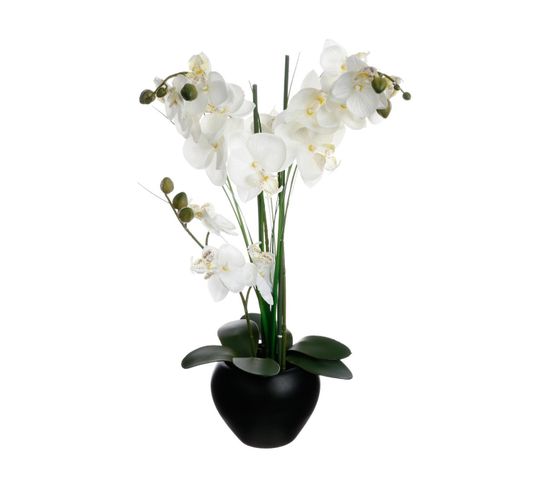 Plante Artificielle Orchidée Dans Un Pot En Céramique Noire H 53 Cm
