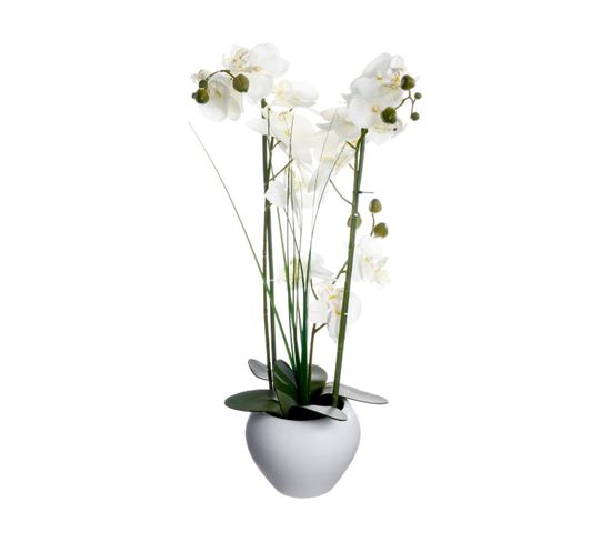 Plante Artificielle Orchidée Dans Un Pot En Céramique Blanche  H 53 Cm