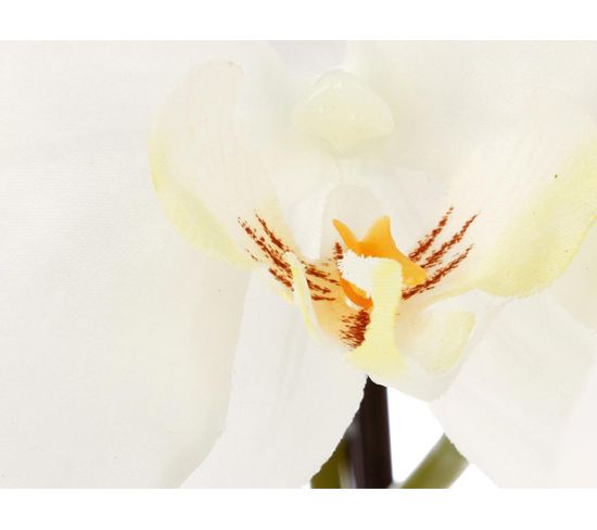 Orchidée H 115 cm  Blanc