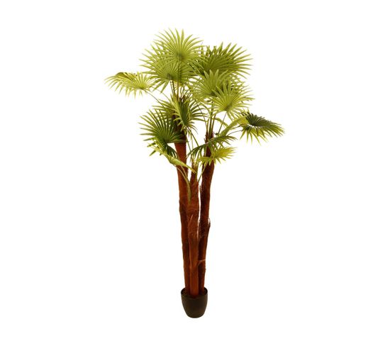 Plante Artificielle Palmier En Pot H 180 Cm