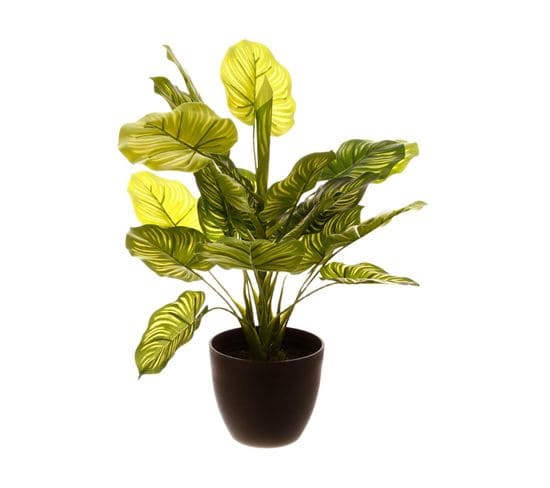 Plante Verte Artificielle En Pot H 45 Cm