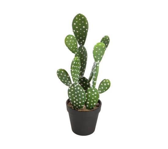 Plante Artificielle Cactus En Pot H 38 Cm