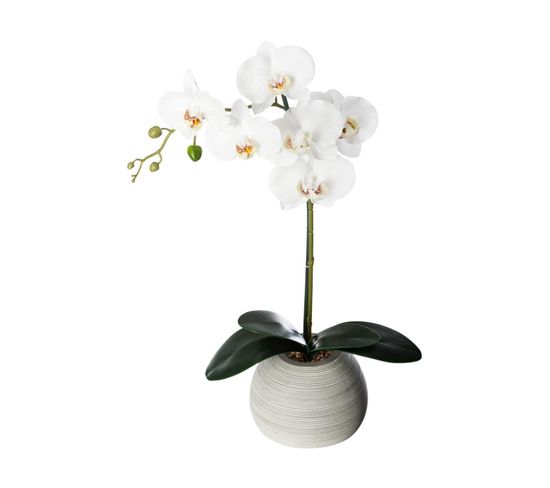 Plante Artificielle Orchidée Dans Pot En Céramique H 50 Cm