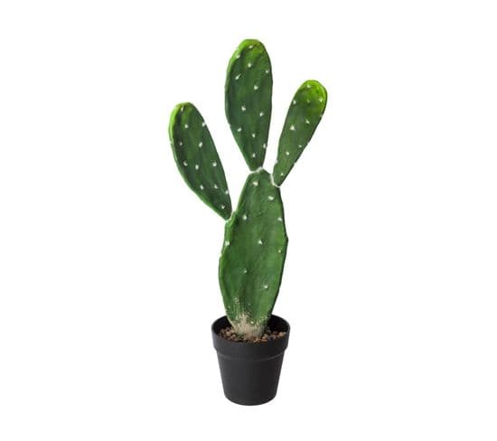 Plante Artificielle Cactus En Pot H 60 Cm