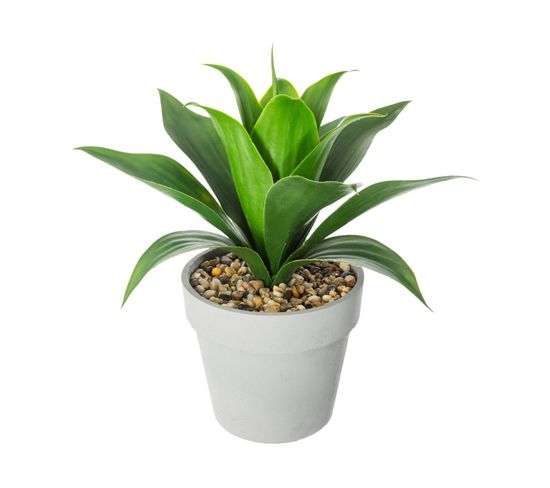 Plante Artificielle Aloe Vera En Pot H 34 Cm