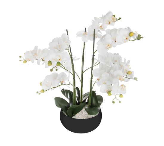 Plante Artificielle Orchidée Dans Pot En Céramique Noire H 62 Cm