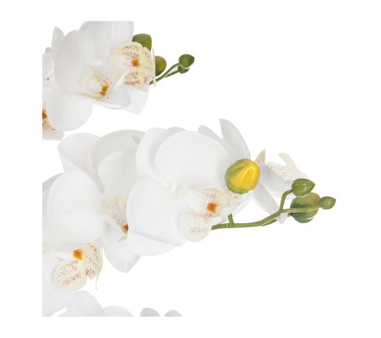 Orchidée pot blanc H.65 cm  Blanc / Vert