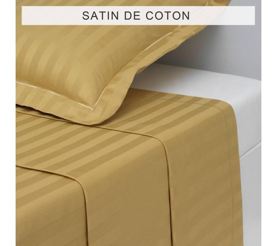 Drap Plat Satin De Coton Tertio®  Doré -270 X 300