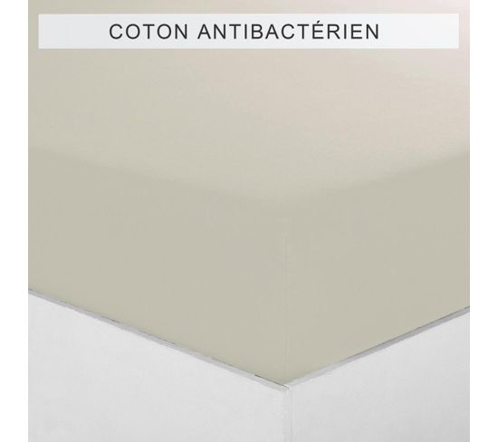 Drap-housse Coton Sanitized® Tertio® -60 X 120