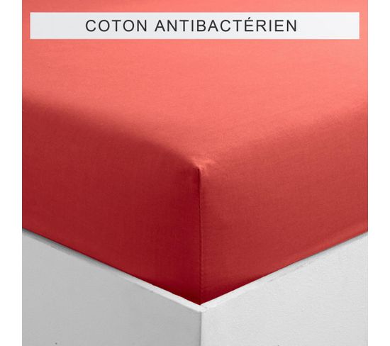 Drap-housse Coton Sanitized® Tertio® -180 X 200