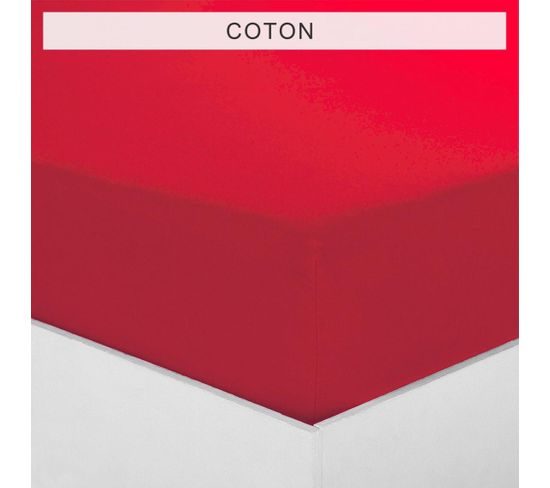 Drap-housse Coton Tertio® -80 X 190