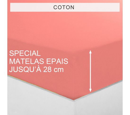 Drap-housse Matelas Épais Coton Tertio® -160 X 200