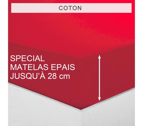 Drap-housse Matelas Épais Coton Tertio® -90 X 190