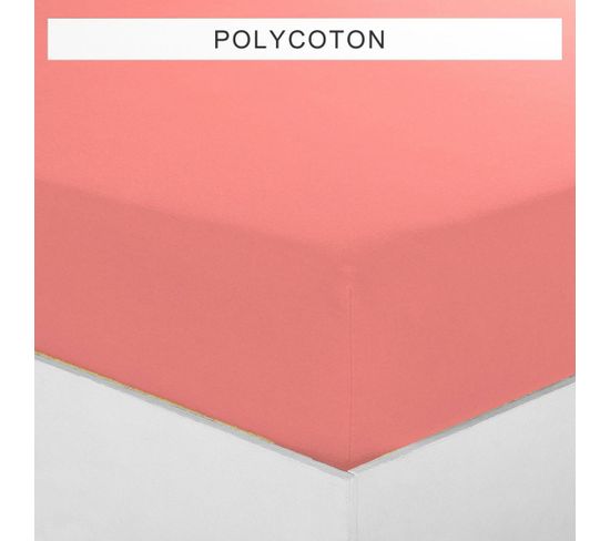 Drap-housse Polycoton Tertio® -140 X 190