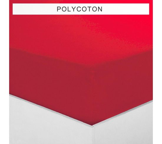 Drap-housse Polycoton Tertio® -120 X 190