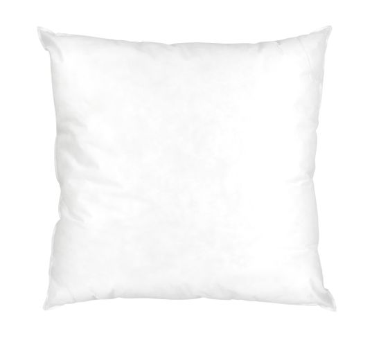 Coussin à Recouvrir 65x65 Cm Garnissage Fibres Polyester Coussin Malin