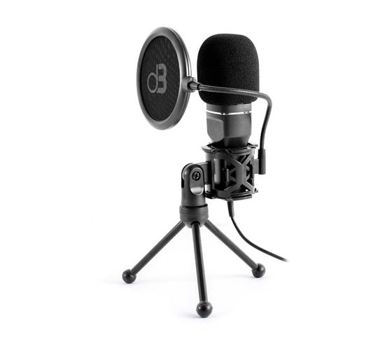 Microphone Studio à Condensateur Avec Directivité Cardioïde Mic250