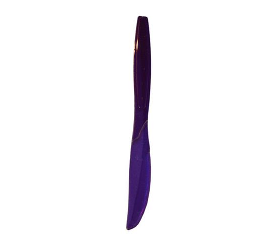 15 Couteaux En Plastique Tonic - Violet