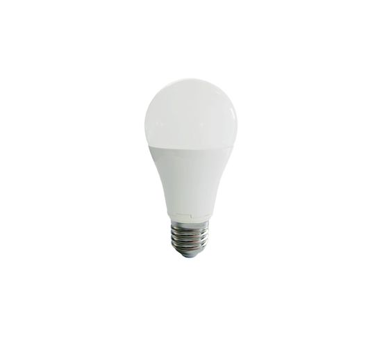 Ampoule LED Globe E27 - 12w