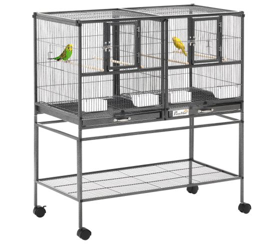 Cage à Oiseaux Avec Séparation