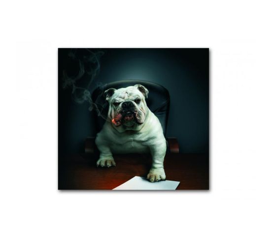 Tableau Animaux Chien Bulldog Avec Cigare 50x50