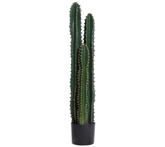 Cactus Armadillo Artificiel Et Réaliste