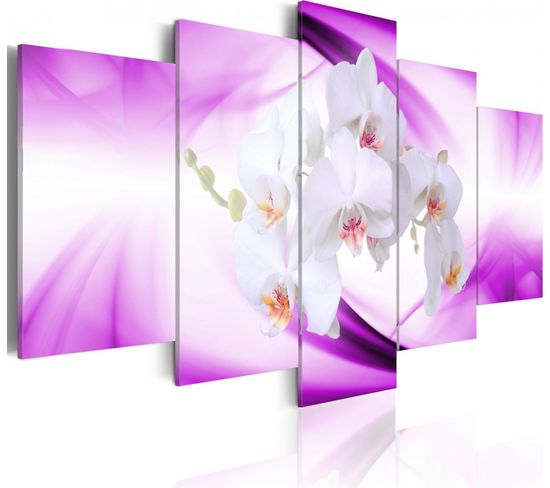 Tableau Belle Fleur, Orchidée 100 X 50 Cm Violet