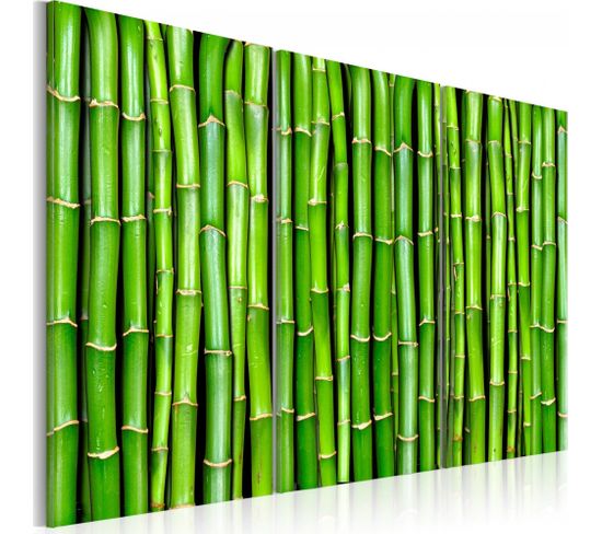 Tableau Mur De Bambou 120 X 80 Cm Vert