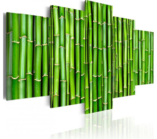 Tableau Bambou - Harmonie Et Simplicité 200 X 100 Cm Vert