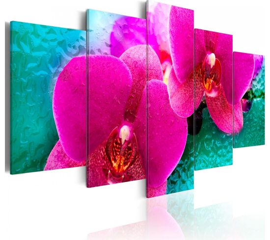 Tableau Orchidées Exotiques 100 X 50 Cm Rose