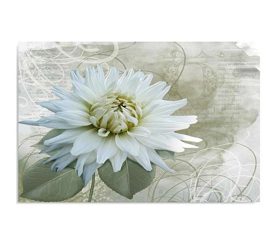 Tableau Fleur Blanche 80 X 60 Cm Blanc