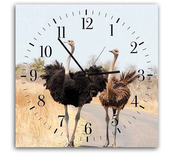 Horloge Décorative Avec Duo D'autruches Sauvages 40 X 40 Cm Beige