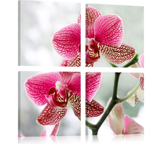 Tableau Orchidée De Fantaisie 90 X 90 Cm Rose