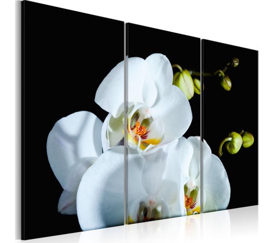 Tableau Orchidée Blanche Comme Neige 90 X 60 Cm Blanc