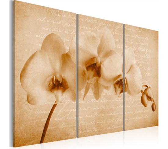 Tableau Orchidée Vintage 90 X 60 Cm