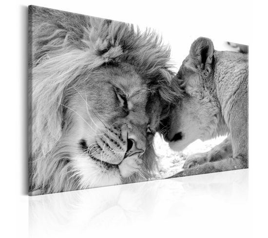Tableau L'amour Du Lion 120 X 80 Cm Blanc