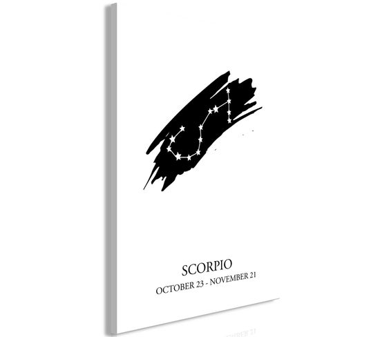 Tableau Signes Du Zodiaque Scorpion Vertical 60 X 90 Cm Blanc