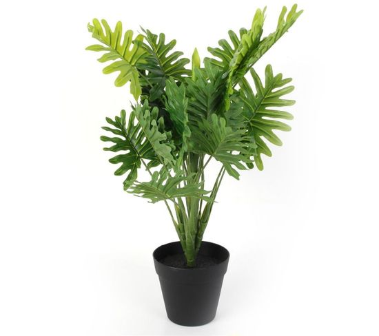Plante Artificielle En Pot "philodendron" 55cm Vert