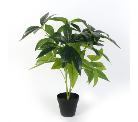Plante Artificielle En Pot "corvod" 60cm Vert