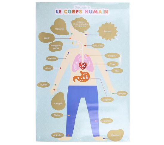 Poster à Gratter Pour Enfant "corps Humain" 60cm Bleu