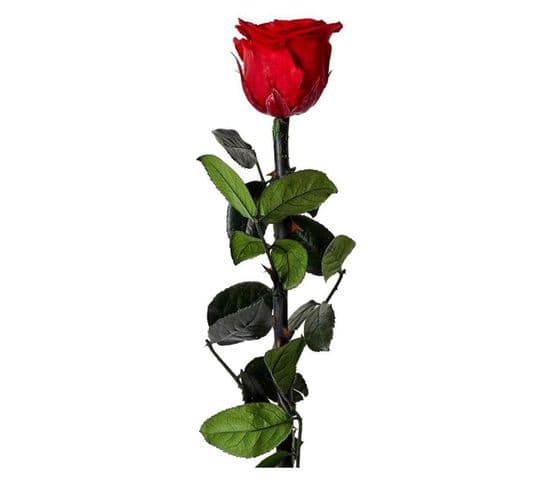 Fleur Artificielle "rose Sur Tige" 30cm Vert Et Rouge