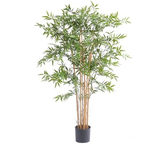 Plante Artificielle Haute Gamme Spécial Extérieur En Bambou Artificiel, Couleur Verte - 150 X 75 Cm