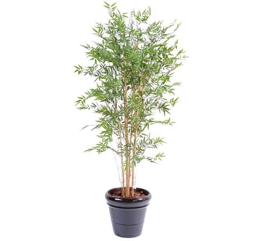 Plante Artificielle Haute Gamme Spécial Extérieur En Bambou Artificiel, Couleur Verte - 180 X 85 Cm