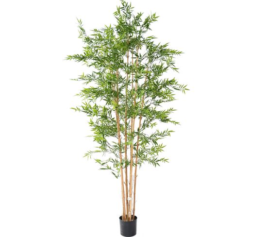 Plante Artificielle Haute Gamme Spécial Extérieur En Bambou Artificiel, Couleur Verte - 240 X 110 Cm