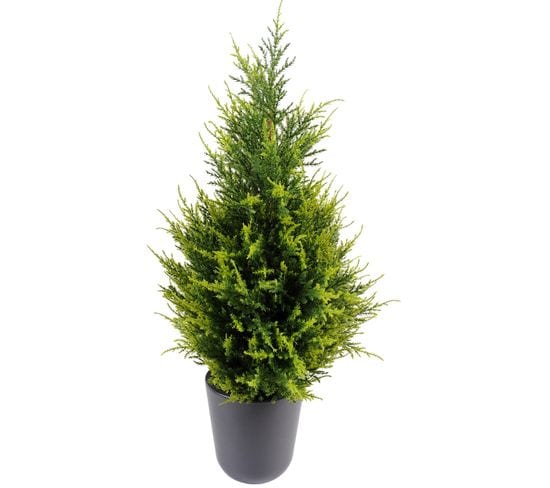 Plante artificielle haute gamme Spécial extérieur / Cypres Juniperus - Dim : 65 x 33 cm